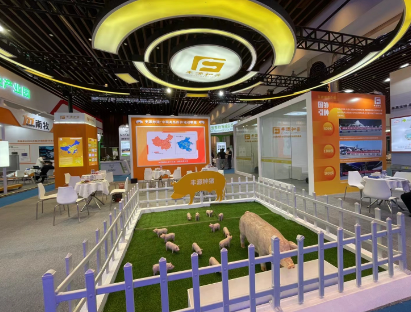 展台设计搭建价格